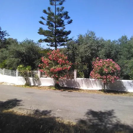 καταπράσινο περιβάλλον Villa