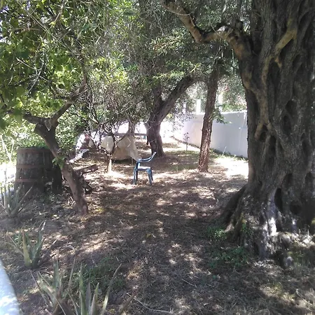 καταπράσινο περιβάλλον Vigglatouri