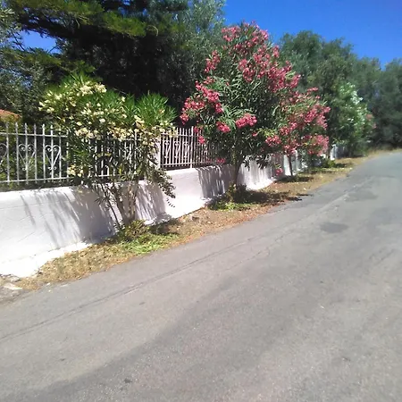 Villa καταπράσινο περιβάλλον