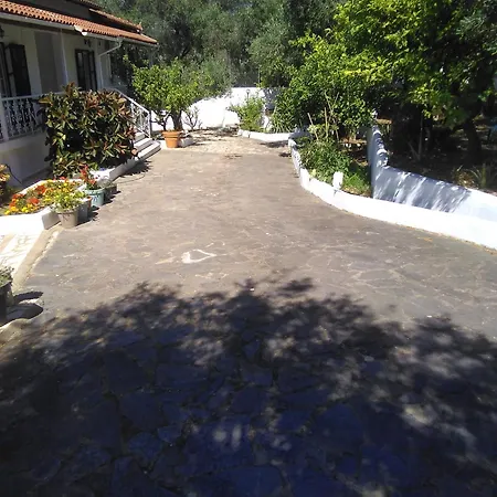 καταπράσινο περιβάλλον